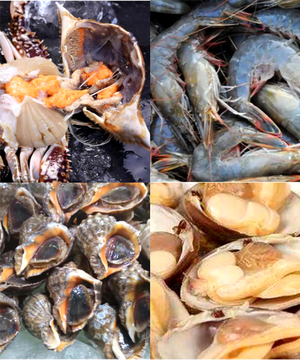 未標(biāo)??3.jpg 未標(biāo)??3.jpg