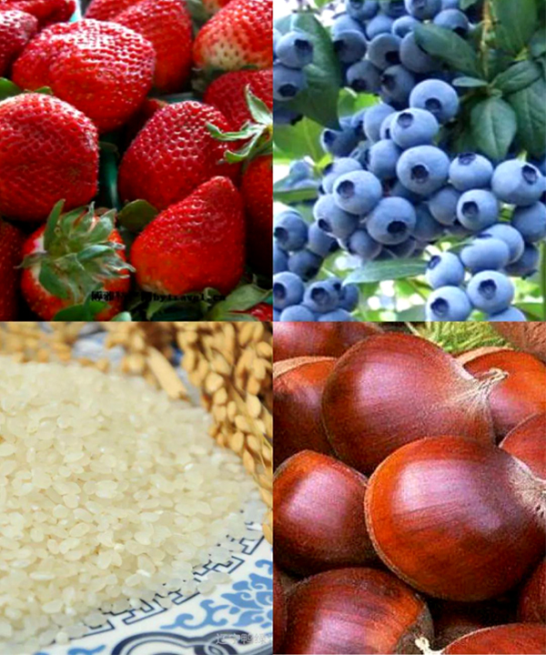 未標(biāo)??4.jpg 未標(biāo)??4.jpg